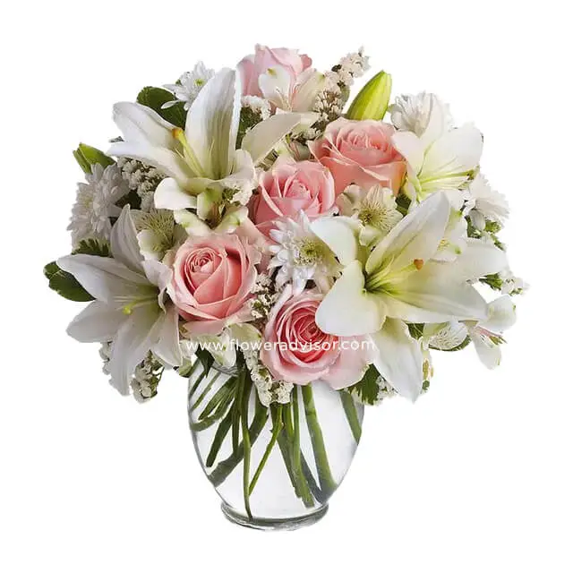 Serenity & Bliss - Valentine's Day