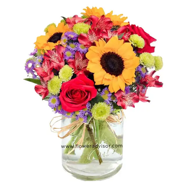 Flower Fields Mason - Get Well Soon