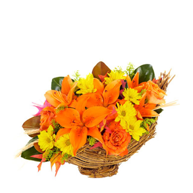 The Seasons Best Cornucopia - Thanksgiving