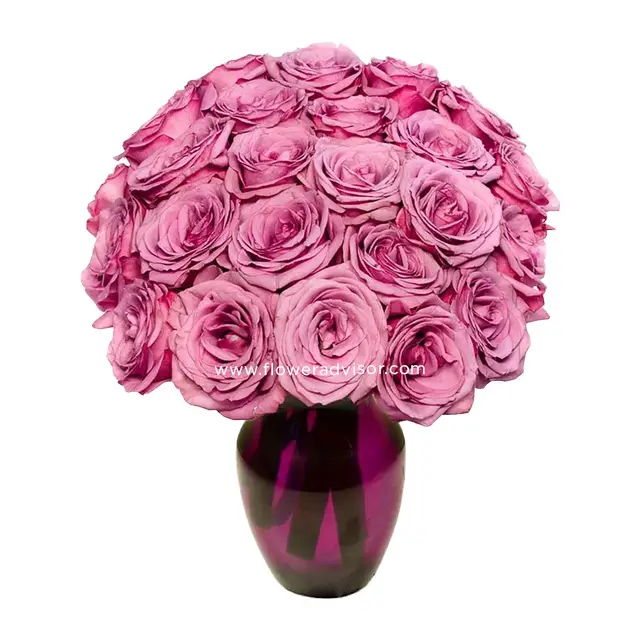 Two Dozen Purple Roses