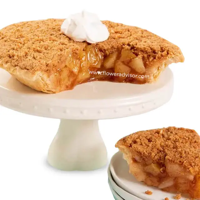 Dutch Apple Pie