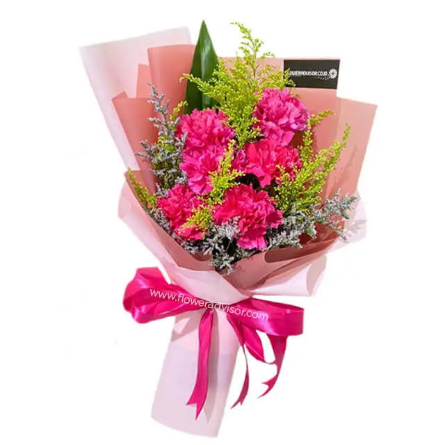 6 Pink Carnations Bouquet - Voice of Reason
