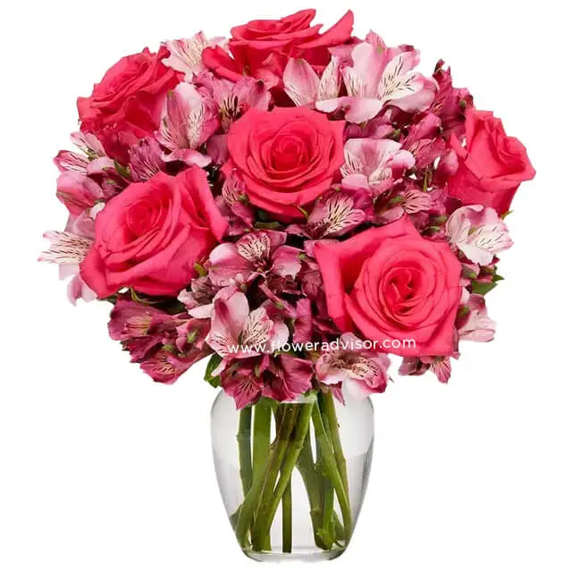 Ma Chere Rose