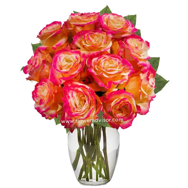 One Dozen Pop of Pink Roses