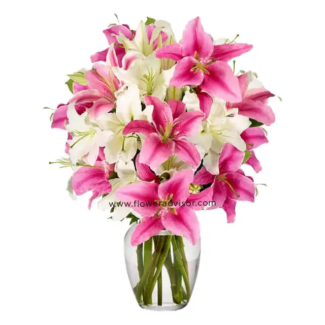 Stunning Pink and White Lilies