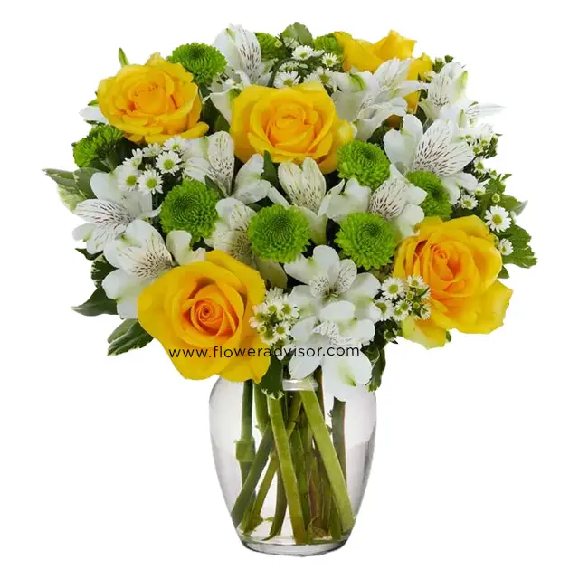Lovely Lemon & Lime