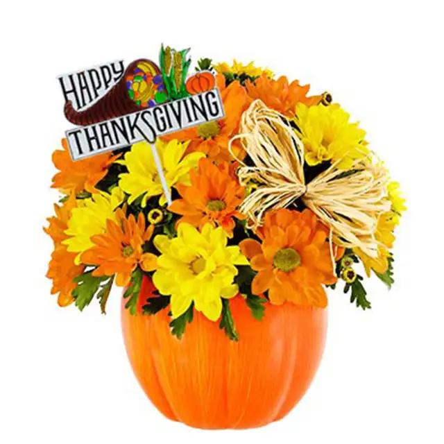 Daisy Pumpkin Patch