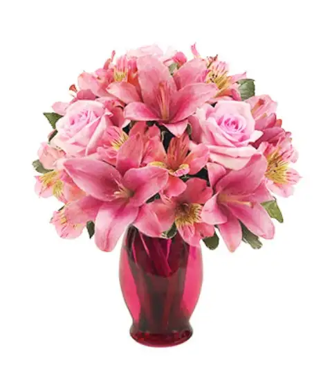 Bright and Beautiful 
