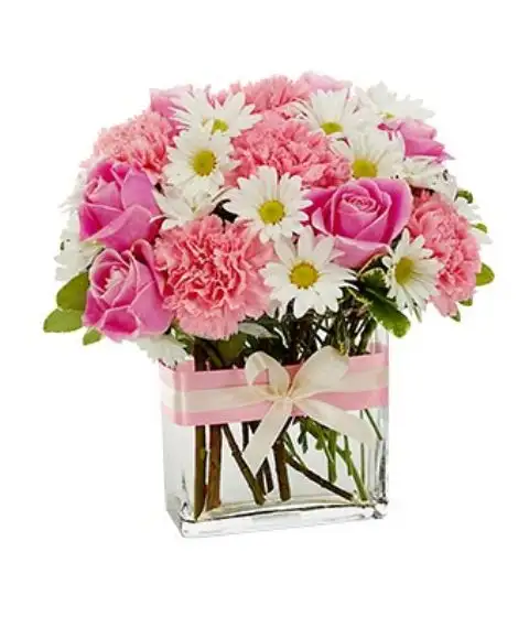 Pinkn Pretty