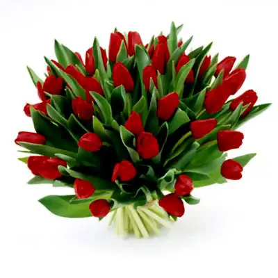 Red Kisses