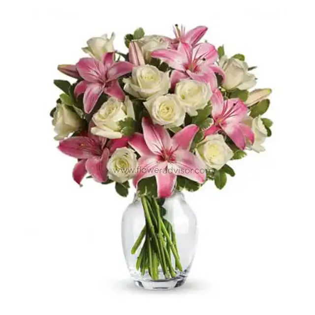 Just For Your Love