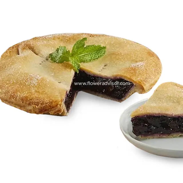 Everyones Favorite Blueberry Pie
