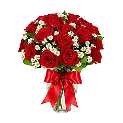 Luxury Two Dozen Red Roses
