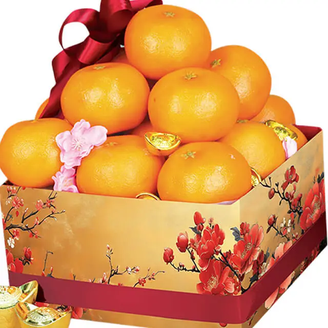 Festive Mandarin Orange Bundle - CNY Hamper 2025