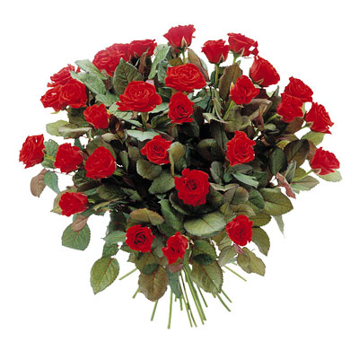The Red Dreamer - Mothers Day